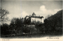 Le Chateau De Blonay - Blonay - Saint-Légier