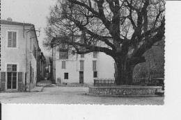 CASTELLAR : Place Georges Clémenceau - Otros & Sin Clasificación