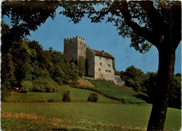 Schloss Habsburg - Sonstige & Ohne Zuordnung