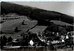 Mürzzuschlag/Steiermark - Steinhaus Am Semmering - Gegen Stuhleck - Mürzzuschlag