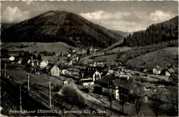 Mürzzuschlag/Steiermark - Steinhaus Am Semmering - - Mürzzuschlag