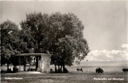 Fischbach - Musikpavillon - Friedrichshafen