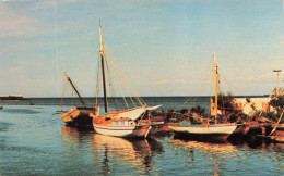 HAITI - A Cap Haitien Dry Dock Keeps The Fishing Fleet In Top Condition - Colorisé - Carte Postale - Haití