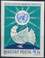 ** 1985 Egyesült Nemzetek Szövetsége (I.) Vágott Bélyeg - Altri & Non Classificati