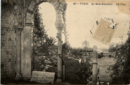 Tunis -La Mida- Belvedere - Tunesië