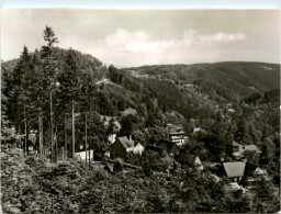 Bärenfels Mit Hofelhübel Und Weisseritztal Mit Kipsdorf - Altenberg