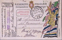 1919-Posta Militare/53 C.2 (13.1) Su Cartolina Franchigia - Storia Postale