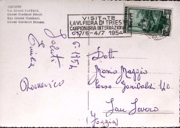 1954-AMG-FTT TRIESTE Visitate La IV Fiera . Annullo A Targhetta (13.5) Su Cartol - Poststempel