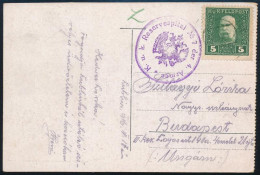 1916 Tábori Posta Képeslap 5h Bérmentesítéssel "K.u.k. Reservespital No. 7. Der 4. Armee" - Autres & Non Classés
