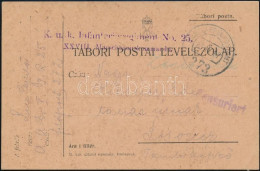 1917 Tábori Posta Levelezőlap "K.u.K. Infanterieregiment No.25." + "EP 273" - Andere & Zonder Classificatie