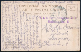 1917 Tábori Posta Képeslap "K.u.K. Feldhaubitzregiments Nr.2. Batterie Nr. 5" + "TP / 644" - Sonstige & Ohne Zuordnung