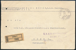 1917 Tábori Posta Ajánlott Levél 2 X 20h Bérmentesítéssel "S.M.S. PELIKAN" - Altri & Non Classificati