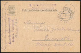 1916 Tábori Posta Levelezőlap "K.u.k. Spitalegruppe Oberlt. Formanek" - Sonstige & Ohne Zuordnung
