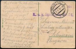 1916 Tábori Posta Képeslap "K.u.k. Spitalszug Nr. 31." - Andere & Zonder Classificatie