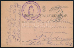 1917 Magyar Civil Internált Képeslapja Marseilléből Budapestre - Autres & Non Classés