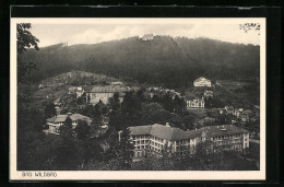 AK Bad Wildbad, Ortsansicht Aus Der Vogelschau  - Sonstige & Ohne Zuordnung