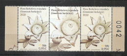 MONTENEGRO 2020,FLORA,GEASTRUM BERKELEYI,WIGNETTE,,,MNH - Paddestoelen