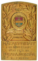 Sződy Szilárd (1878-1939) 1933. "BSE (Budapest Sport Egyesület) AUTÓ MOTOR SZAKOSZTÁLY - MALAKY MIHÁLY EMLÉKVERSENY 1933 - Zonder Classificatie