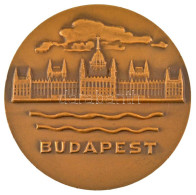 1971. "Budapest" Egyoldalas Bronz Emlékérem, Hátoldalán "Magyarország-Csehszlovákia-Lengyelország Decatlon-pentatlon Bud - Unclassified