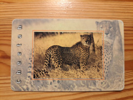 Phonecard South Africa, MTN - Cheetah - Sudafrica