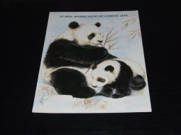 75099- CA.  12  X 17 CM. - BEREN / BEARS / BÄREN / OURS / ORSI - Orsi