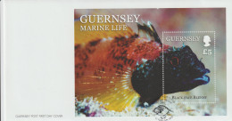 Guernsey FDC 2013 £5 Marine Life Black Face Blenny Souvenir Sheet. Postal Weight Approx. 0,09 Kg. Please - Peces