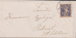 1925 Schweiz Kleinbrief 7x13.0 Cm, Zum:CH 157, Mi:CH 163x, Tellknabe - Briefe U. Dokumente