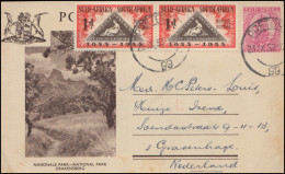 Südafrika Bildpostkarte Nationalpark Drakensberg, Zusatzfr. PRETORIA 24.9.1953 - Altri & Non Classificati