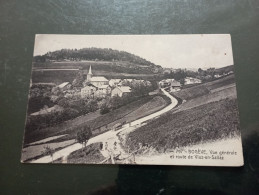 B1/ 81- BOGEVE- Vue Générale Et Route De VIUZ- EN - SALLAZ - Sonstige & Ohne Zuordnung