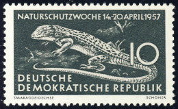 562 Naturschutzwoche 10 Pf Smaragdeidechse ** Postfrisch - Unused Stamps