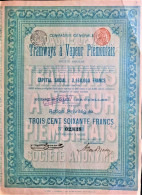 Tramways à Vapeur Piémontais - Action Priviligiée De 360 Francs (1897) - Spoorwegen En Trams