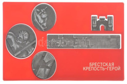 Szovjetúnió ~1960-1980. "A Breszti Erőd Hősei" 5 Darabos Alumínium Emlékérem és Emlékplakett Sorozat Műanyag Tartótokban - Non Classificati