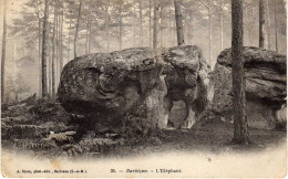 77 - Forêt De FONTAINEBLEAU - BARBIZON - L'Éléphant - Fontainebleau