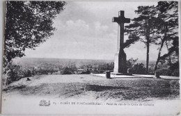 77 - Forêt De FONTAINEBLEAU - Point De Vue De La Croix Du Calvaire - Fontainebleau