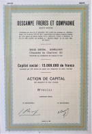 Descampe Frères Et Compagnie - Gembloux - Action De Capital - 1981 - Otros & Sin Clasificación