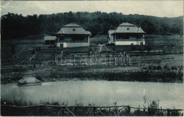 T2/T3 Báznafürdő, Baile Bazna, Bad-Baassen; Villa Éltető. Franz Wendler Kiadása / Villa (EK) - Unclassified