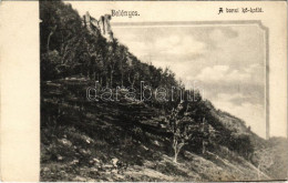 ** T2/T3 Belényes, Beius; A Borzi Kő-kotló / Hiking Spot, Rock (EK) - Sin Clasificación