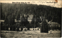 * T4 1906 Biharfüred, Stana De Vale, Stina De Vale; Látkép. Helyfi László Kiadása / General View (lyuk / Pinhole) - Sin Clasificación