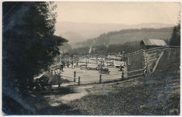 T3 1937 Borszék, Borsec; Napfürdő / Sunbathing. Photo (EB) - Unclassified