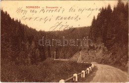 T3 1912 Borszék, Borsec; Szerpentin út. Pollatschek Gyula Kiadása / Road (ázott Sarok / Wet Corner) - Unclassified