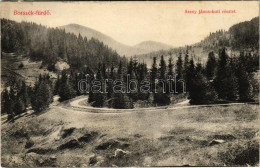 T2/T3 1914 Borszék-fürdő, Baile Borsec; Arany János Kúti Részlet / Road (aprócska Szakadás / Tiny Tear) - Unclassified