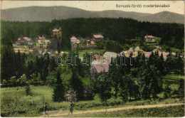 T2/T3 1915 Borszék-fürdő, Baile Borsec; Madártávlatból / Villas (EK) - Unclassified