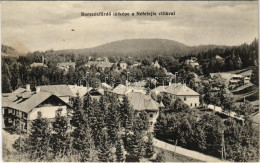 ** T2/T3 Borszékfürdő, Baile Borsec; Látkép A Nefelejts Villával / General View, Villa - Non Classés