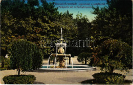 T2/T3 1914 Brassó, Kronstadt, Brasov; Liget, Szökőkút / Park, Fountain (EK) - Non Classés