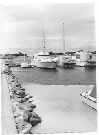 Canet Plage  Grande  Photo De Presse  Format :24 X 17.5 Cm - Canet Plage