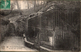 77 - Forêt De FONTAINEBLEAU - Grotte Aux Cristaux - Fontainebleau