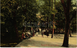 T2 1909 Buziásfürdő, Baile Buzias; Hársfa Sétány. Francz József Kiadása / Promenade - Unclassified