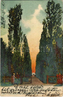 T2/T3 1904 Buziás, Sétány A Meleg Fürdőhöz. Huzly István Kiadása / Promenade To The Spa (EK) - Unclassified