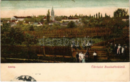 T2 1911 Buziásfürdő, Baile Buzias; Látkép. Nosek Gusztáv Kiadása - Unclassified