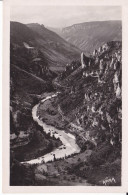 48 LANGOGNE - Vue Générale - Le Pré De La Foire Et Le Pont Neuf - Gorges Du Tarn